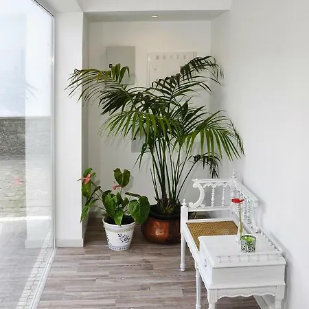 Casa de Férias Holiday Homes Quinta De Santa Barbara Lagoa Pdl01016 Fyb