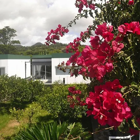 Сasa de vacaciones Holiday Homes Quinta De Santa Barbara Lagoa Pdl01016 Fyb Lagoa (Algarve)